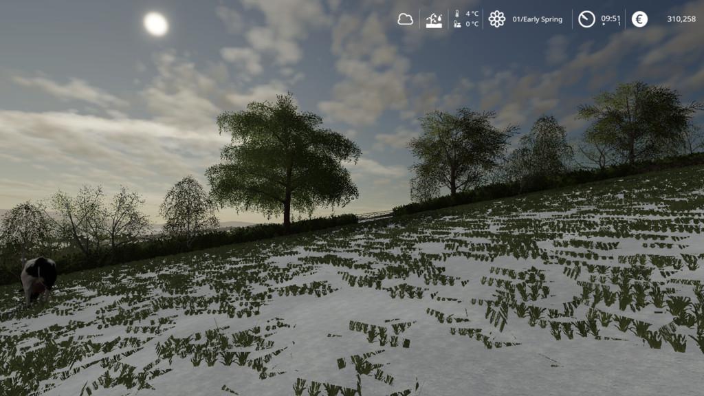 FS19 - Seasons Geo: Upper Austria V1.2