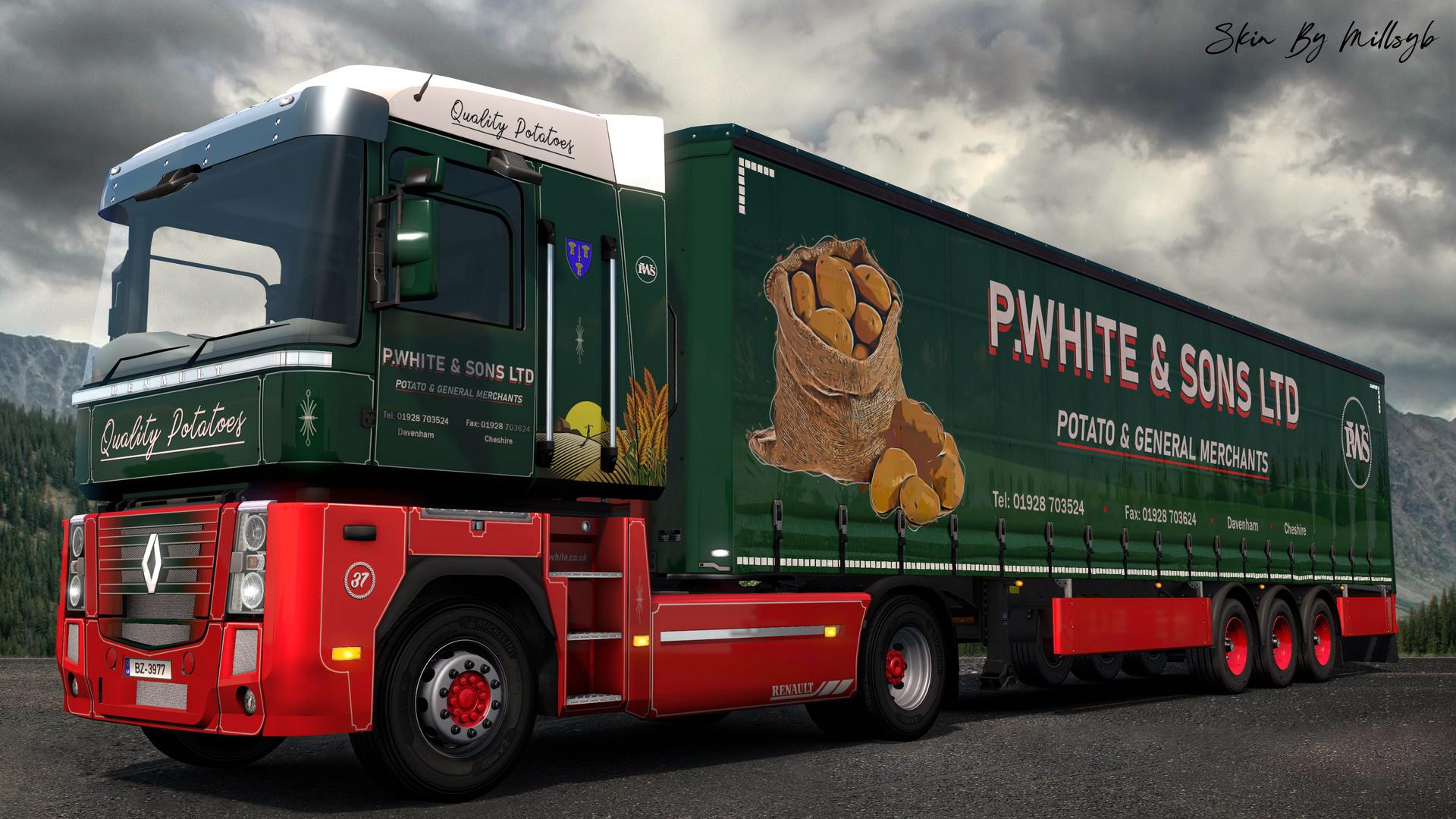 ETS2 - P White & Sons Combo Skin V1.0 (1.36.x)