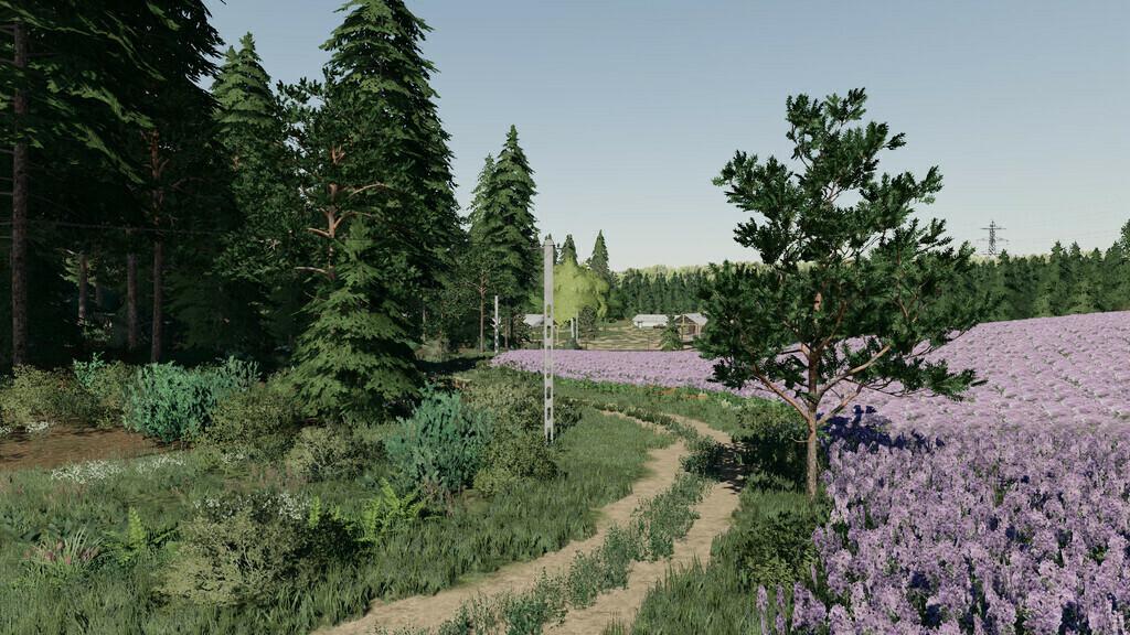 FS19 - Starowies Map V2.0