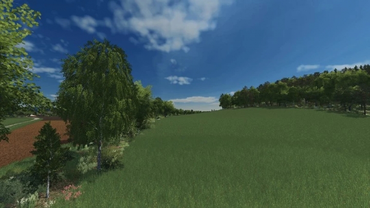 FS19 - Wohlsbach Map V0.9 Beta