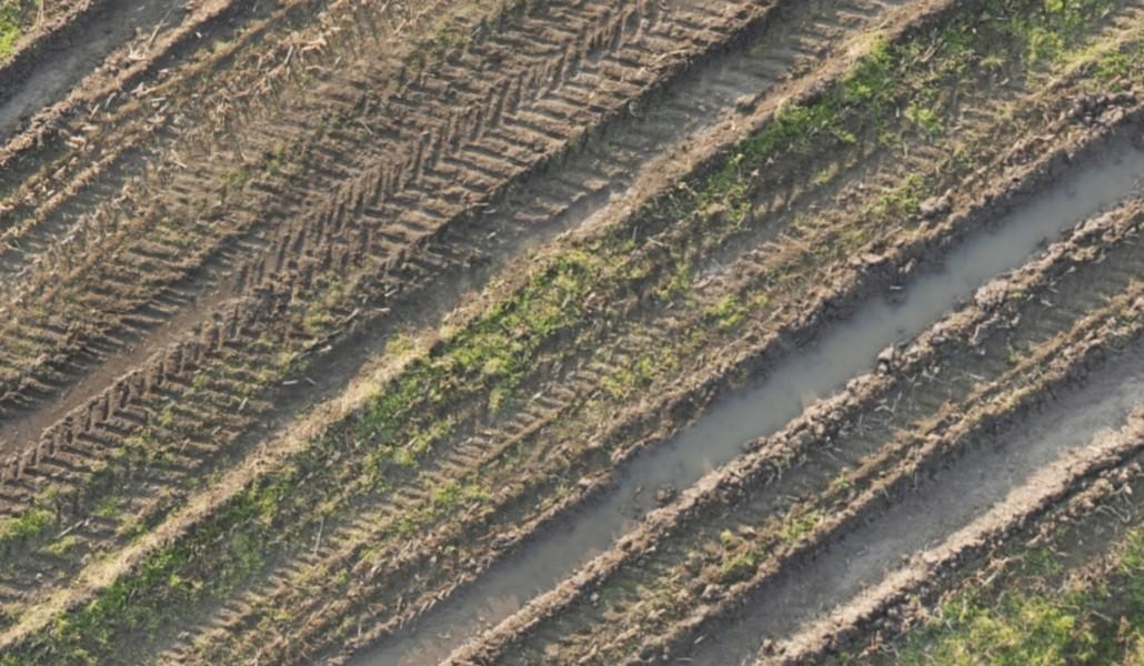 FS19 - Traces V1.0