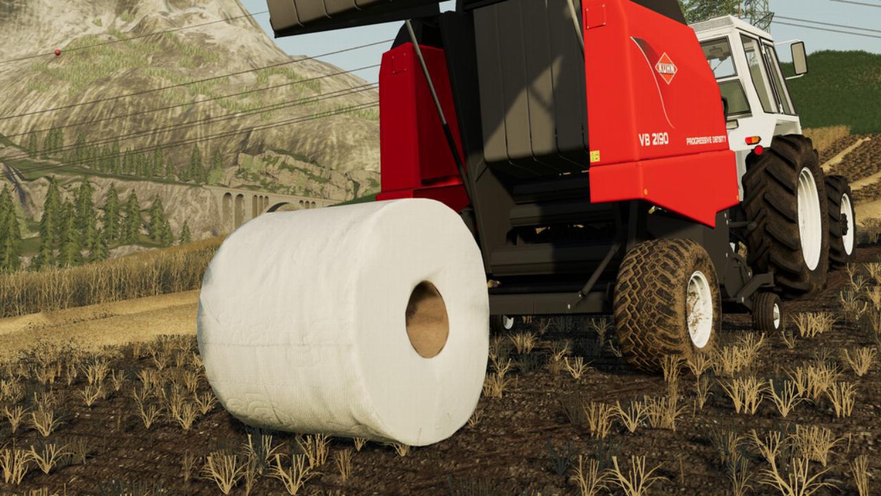 FS19 - Toilet Paper Skin V1.0