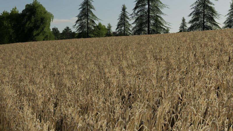 FS19 - Barley / Wheat Texture V1.0