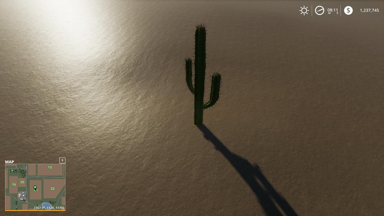 FS19 - Cactus V1.0