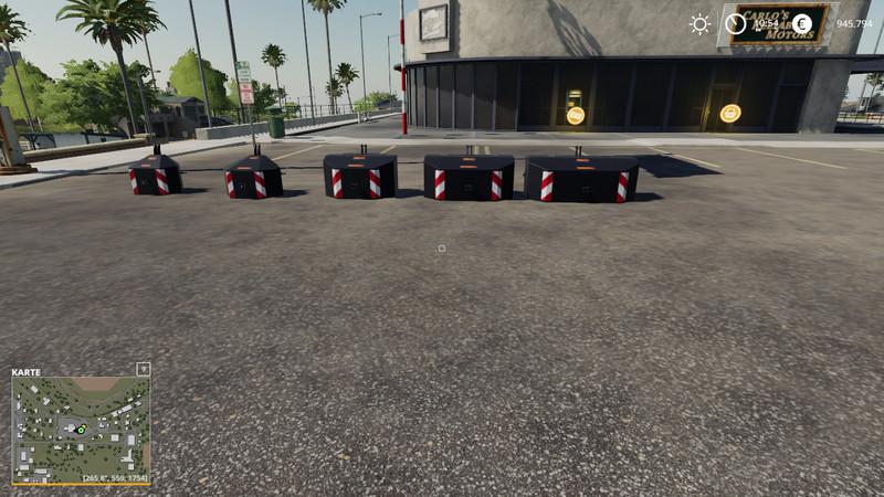 FS19 - Hauer Weights V1