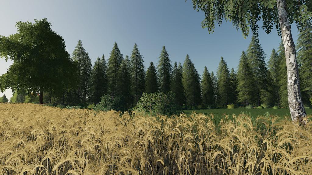 FS19 - Polska Krajna Map V1.0