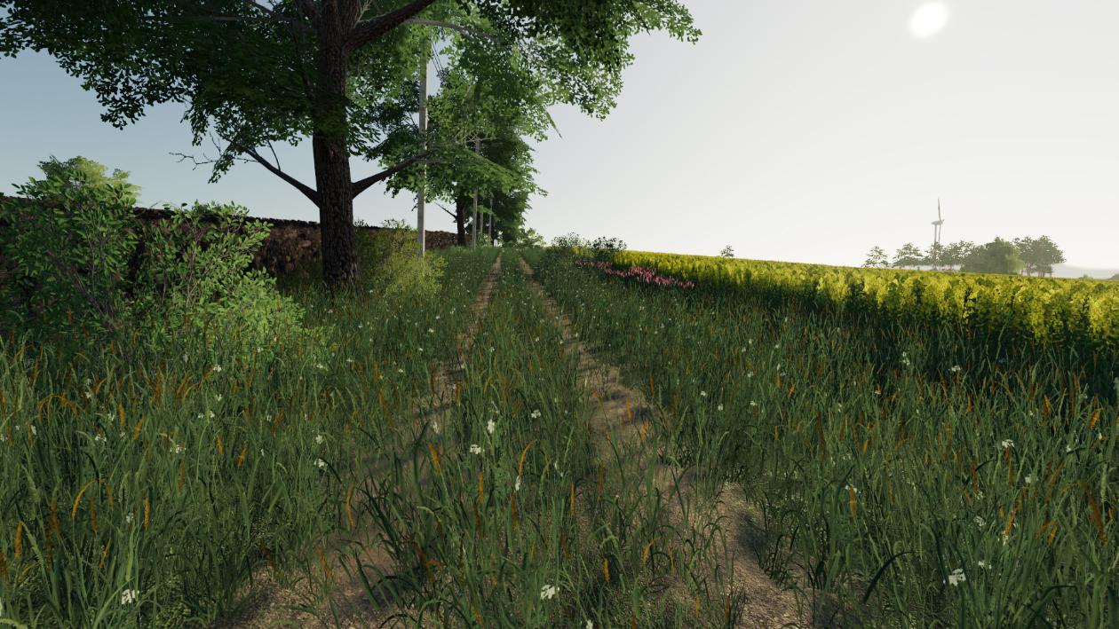 FS19 - Dolina Kwiatow Map V1.1.1