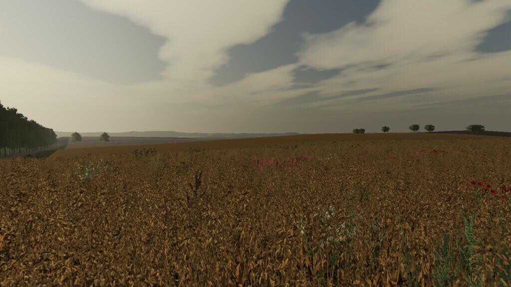 FS19 - Wyther Farms Map V1.2