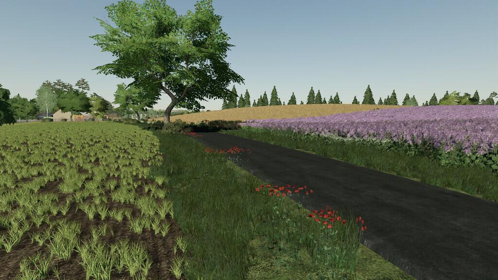 FS19 - Cybuchowo Map V1.0.0.1