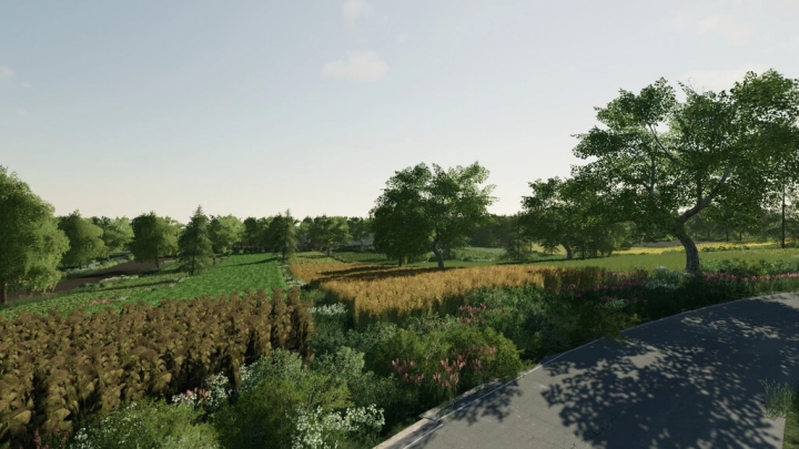 FS19 - Micro Polish Map V1.0