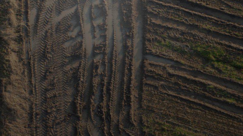 FS19 - Traces V2.0