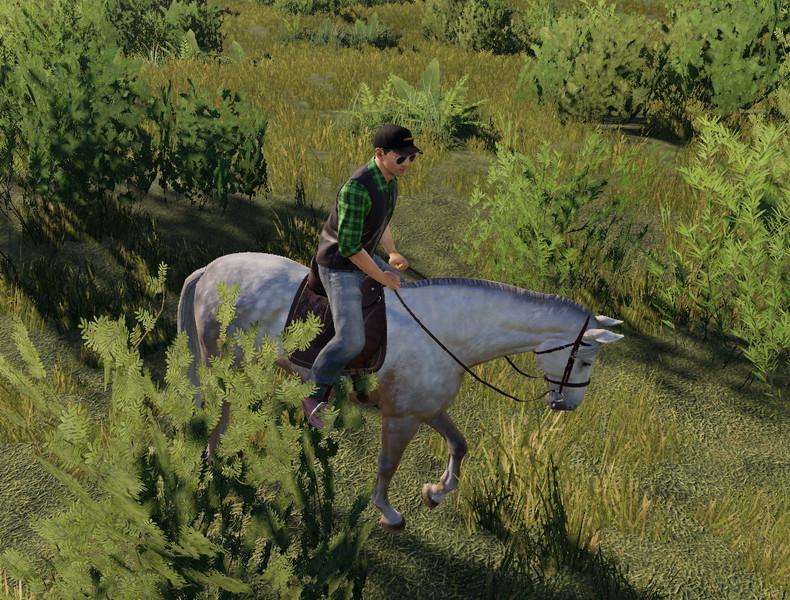 FS19 - Horse V1.0