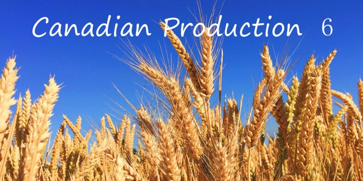 FS19 - Canadian Production Map V6.0