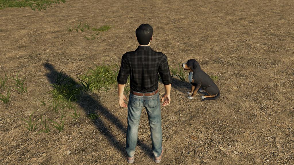 FS19 - 3rd Person V1.0.0.1