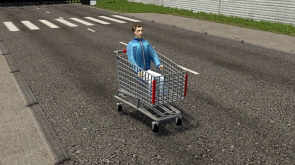 City Car Driving 1.5.9 - Shopping Cart