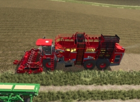 Ropa Tiger6S Cotton Edition V1.0