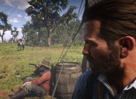 New West Reshade