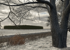 Golden Lands Map V1.0