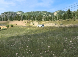 New Summer V4.5