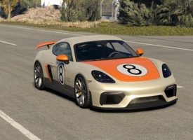 Porsche Cayman 718 & GT4 RS